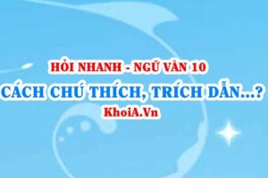 Chú thích, trích dẫn, cước chú là gì? Cách chú thích, trích dẫn và ghi cước chú? Ngữ Văn lớp 10